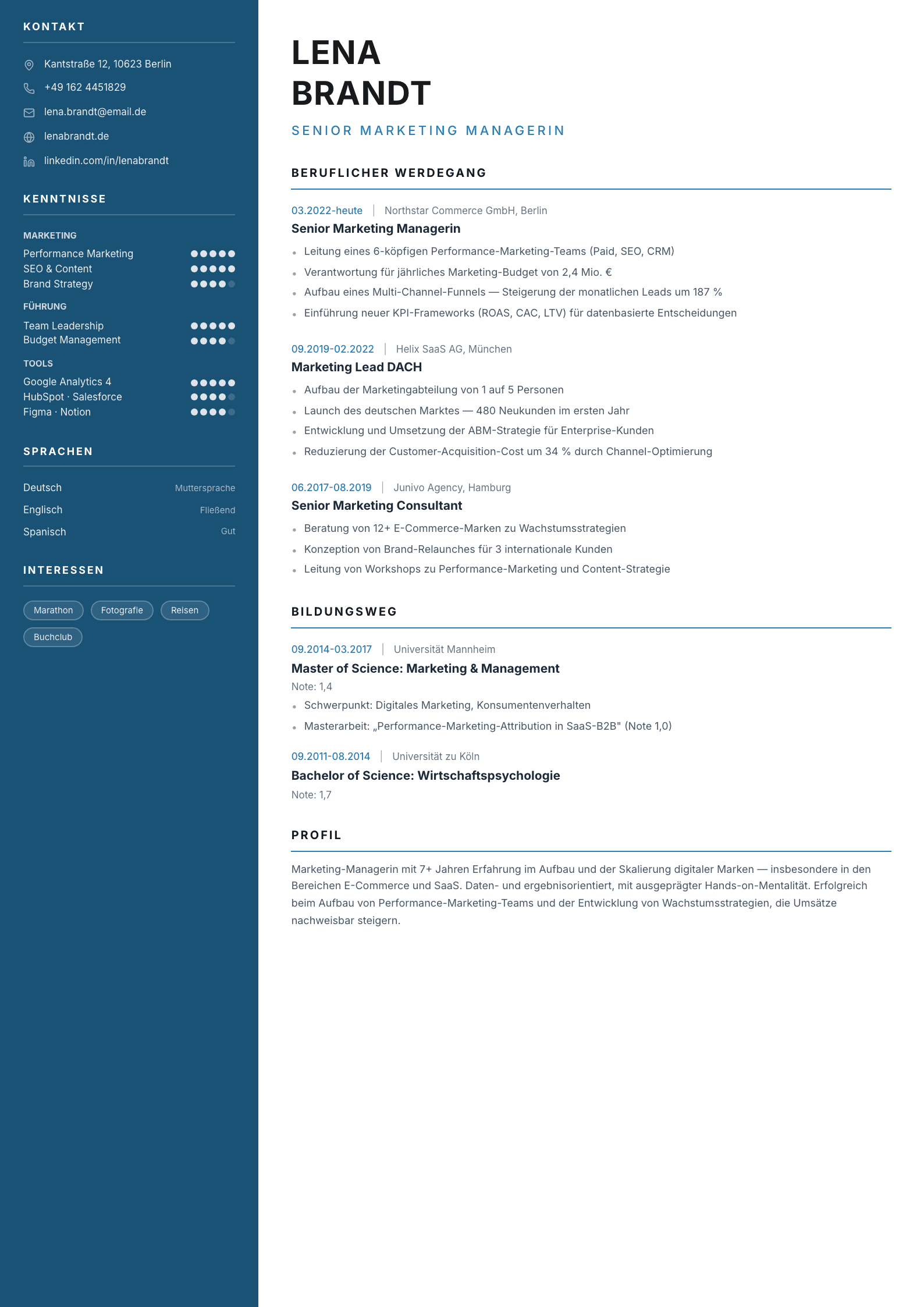 Lebenslauf-Vorlage Professional — Business-Standard